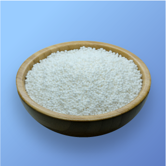 sago seeds white 2mm